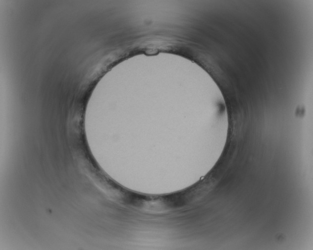 X0000113220309200910221130