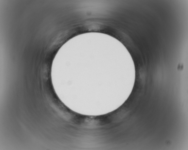 X0000113220311200910221130