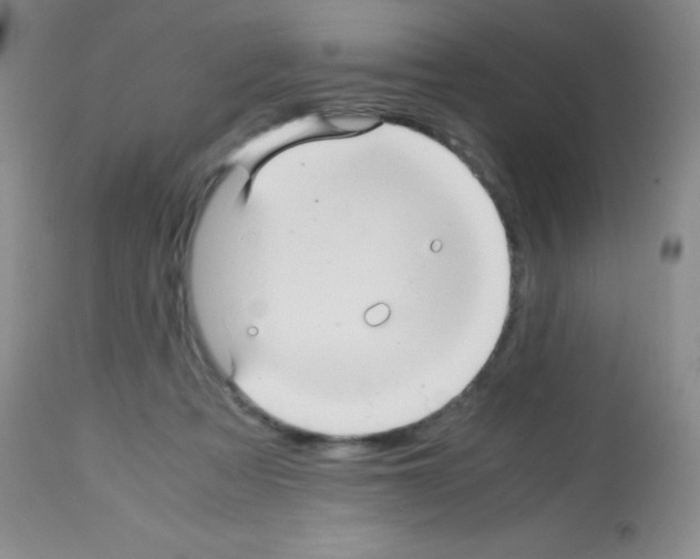 X0000113220313200910221130