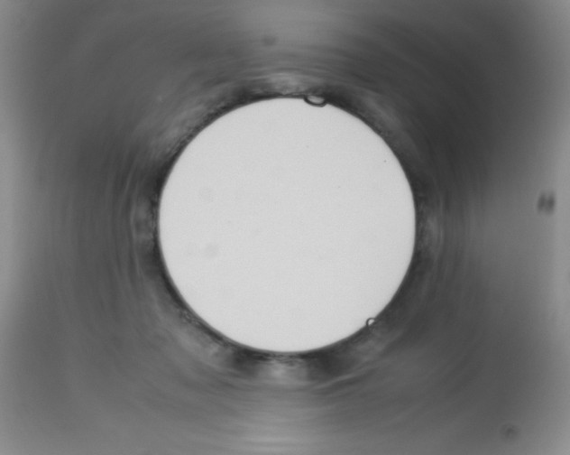 X0000113220317200910221130