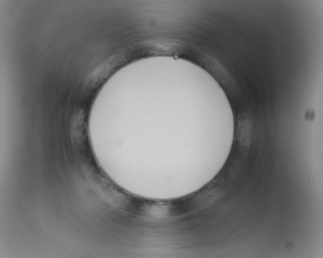 X0000113220318200910221130