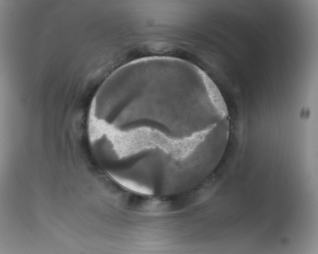 X0000113220319200910221130