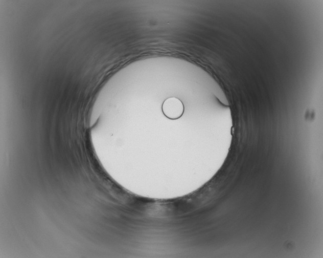 X0000113220320200910221130