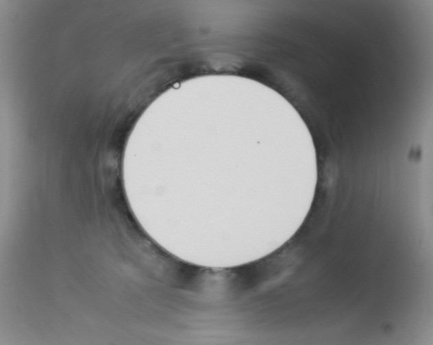 X0000113220321200910221130
