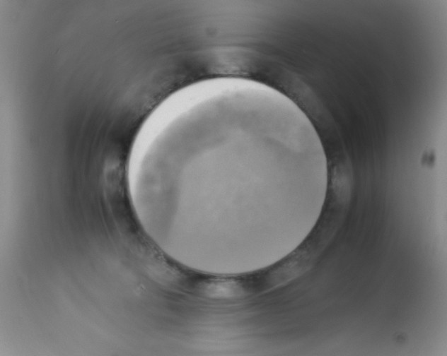 X0000113220322200910221130