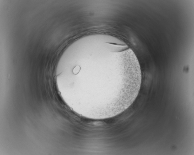 X0000113220324200910221130