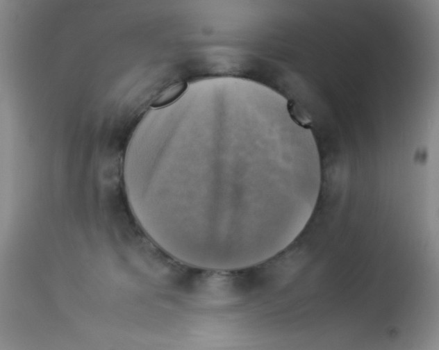 X0000113220325200910221130