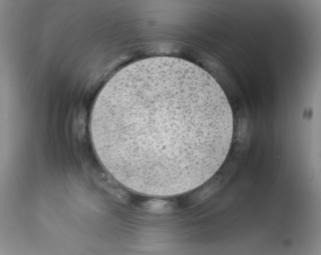 X0000113220326200910221130