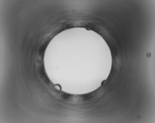 X0000113220327200910221130