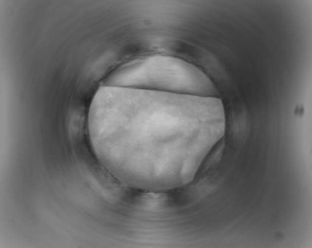 X0000113220328200910221130
