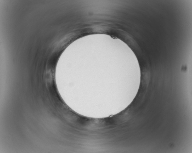 X0000113220329200910221130