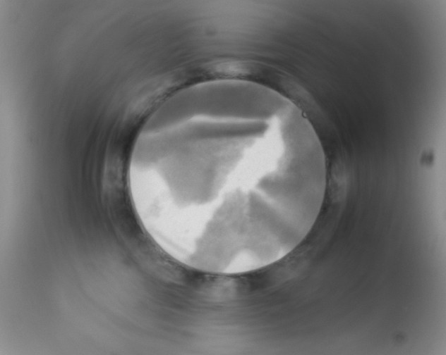 X0000113220330200910221130