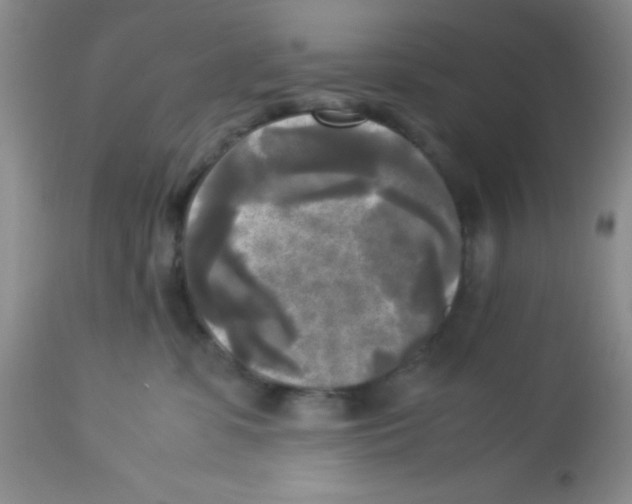 X0000113220331200910221130