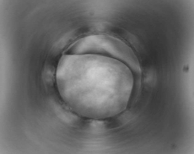 X0000113220332200910221130