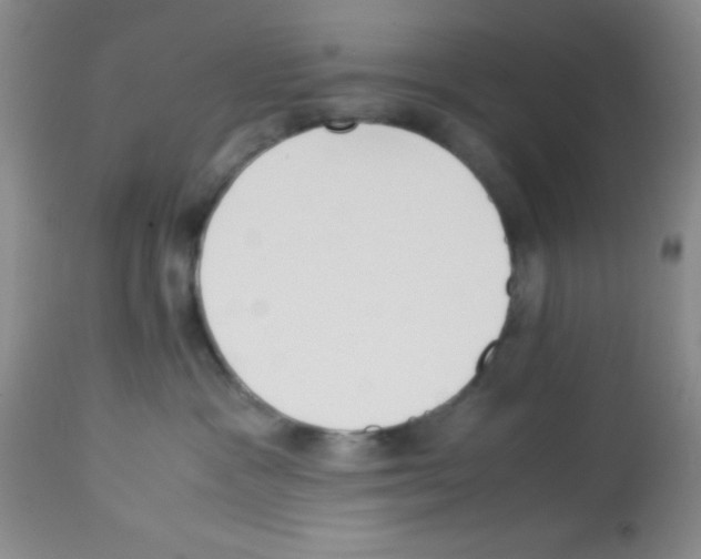 X0000113220333200910221130