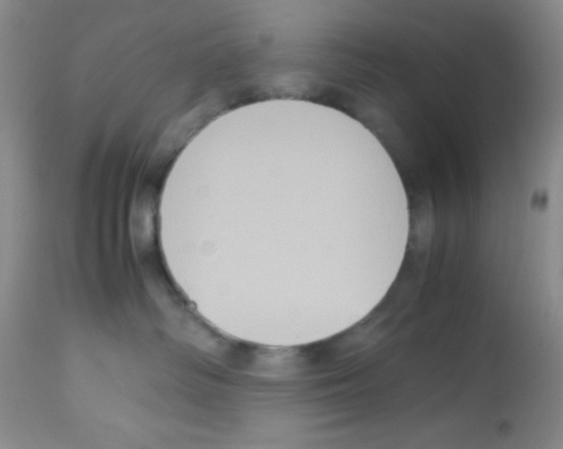X0000113220334200910221130