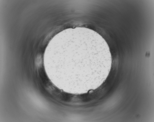 X0000113220335200910221130