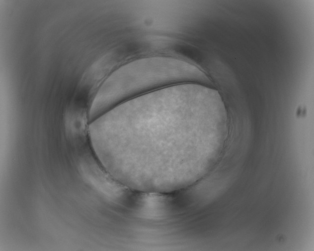 X0000113220336200910221130