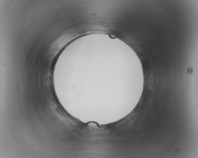 X0000113220338200910221129