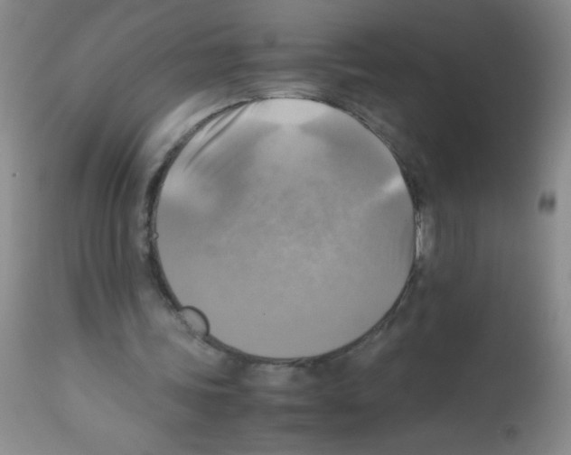 X0000113220339200910221129