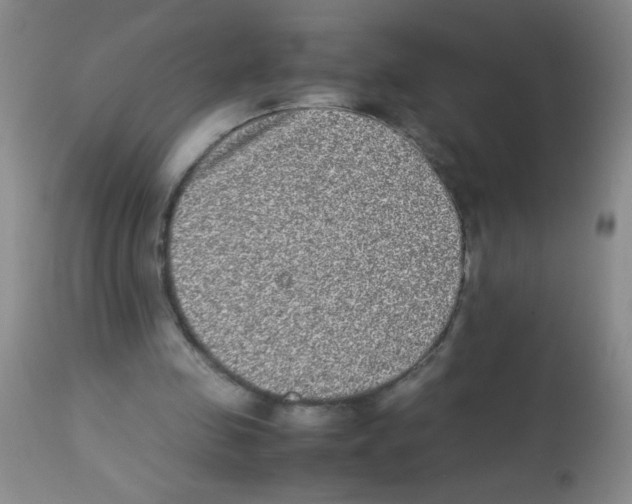 X0000113220341200910221129