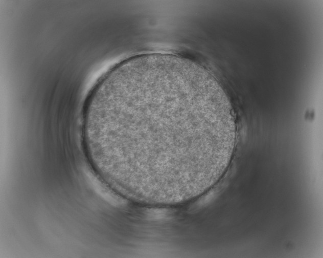 X0000113220342200910221129