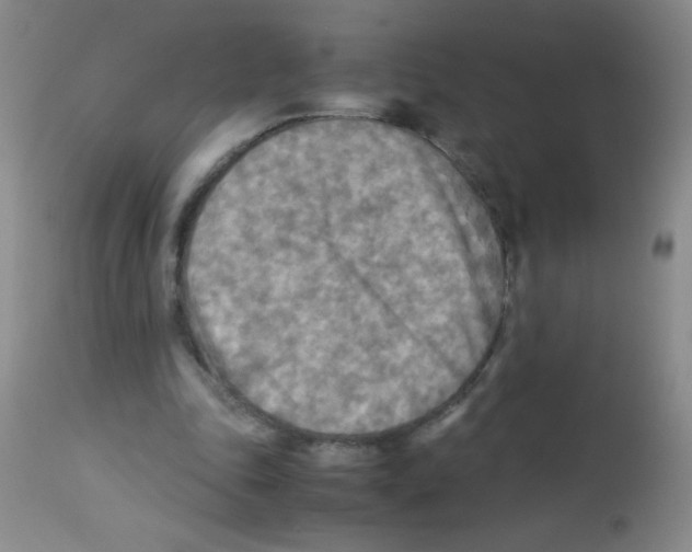 X0000113220343200910221129