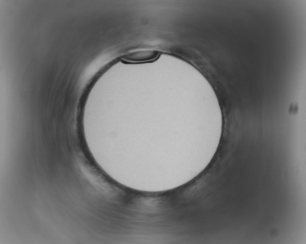 X0000113220344200910221129