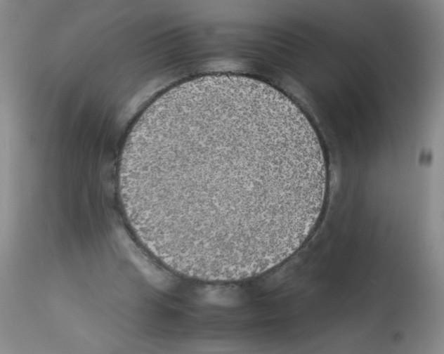 X0000113220345200910221129