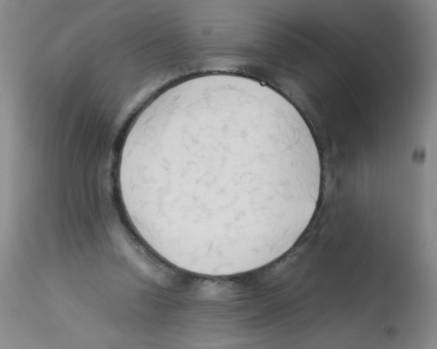 X0000113220346200910221129