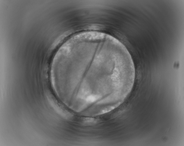 X0000113220347200910221129