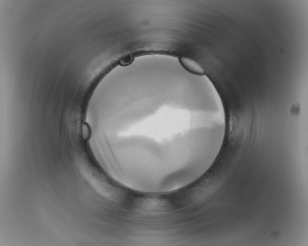X0000113220348200910221129