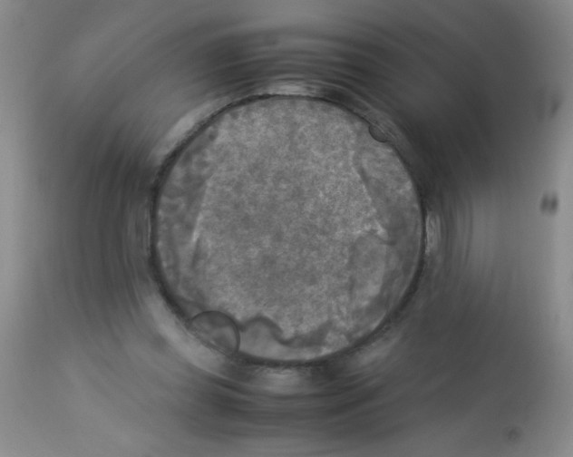 X0000113220349200910221129