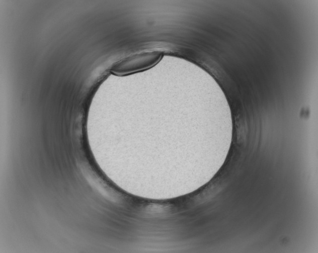 X0000113220350200910221129