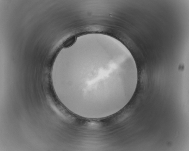 X0000113220352200910221129