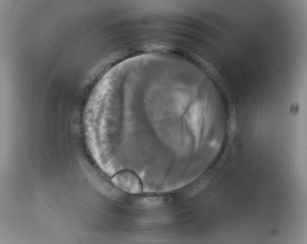 X0000113220353200910221129