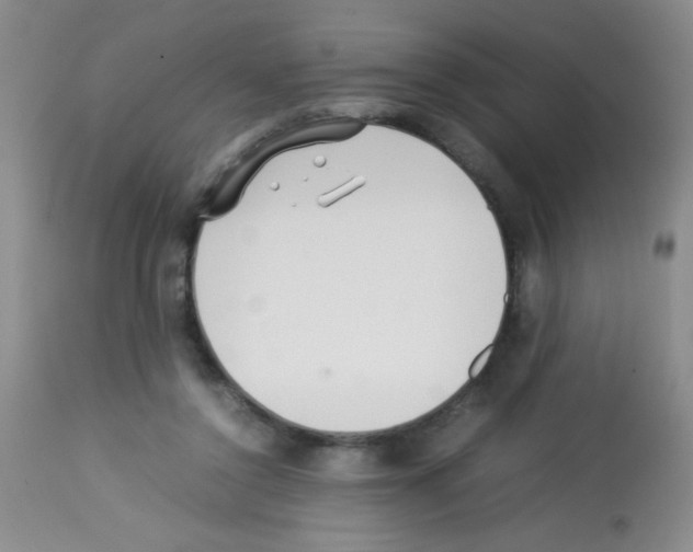 X0000113220356200910221130