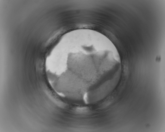 X0000113220357200910221130
