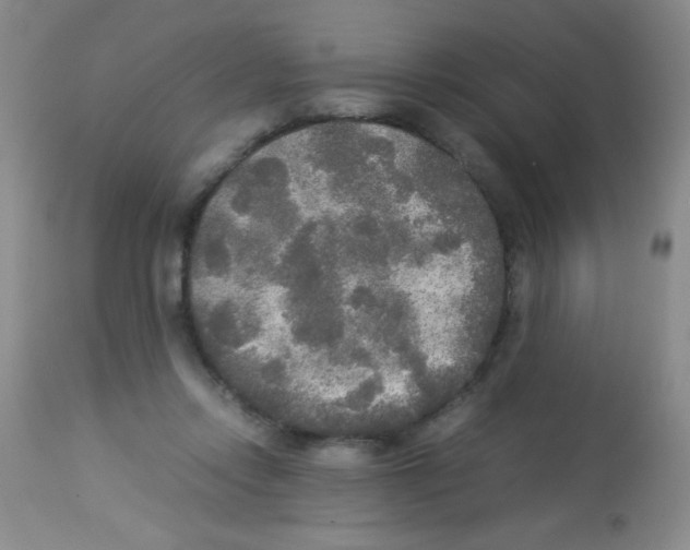 X0000113220358200910221130