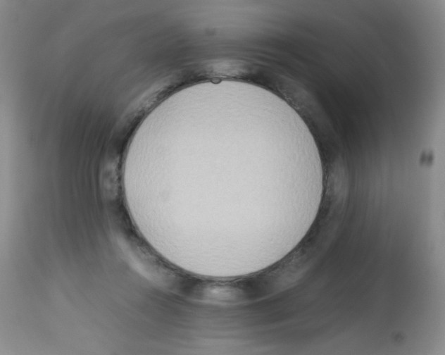X0000113220360200910221130
