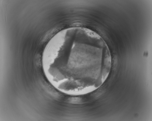 X0000113220361200910221130