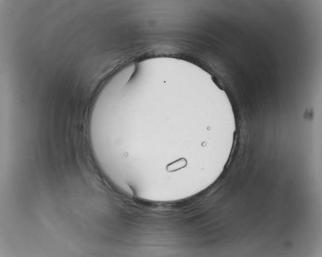 X0000113220362200910221130
