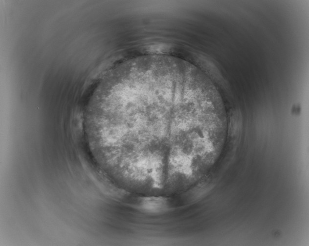 X0000113220363200910221130