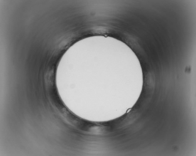 X0000113220364200910221130