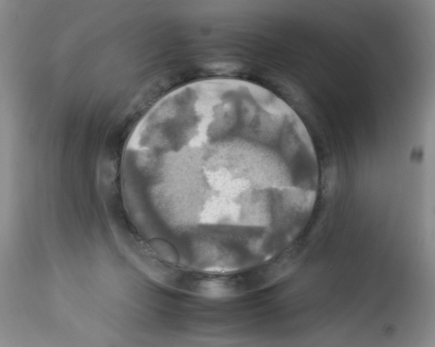 X0000113220365200910221130