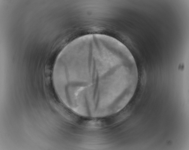 X0000113220366200910221130