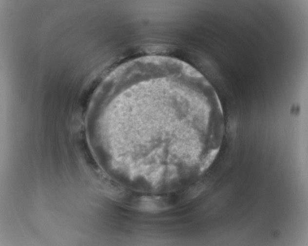 X0000113220367200910221130