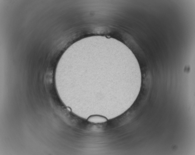 X0000113220368200910221130