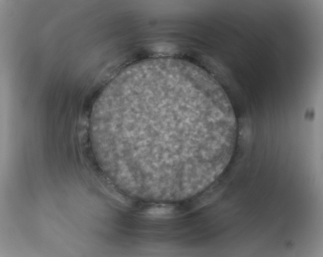 X0000113220369200910221130