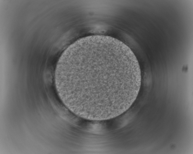 X0000113220370200910221130